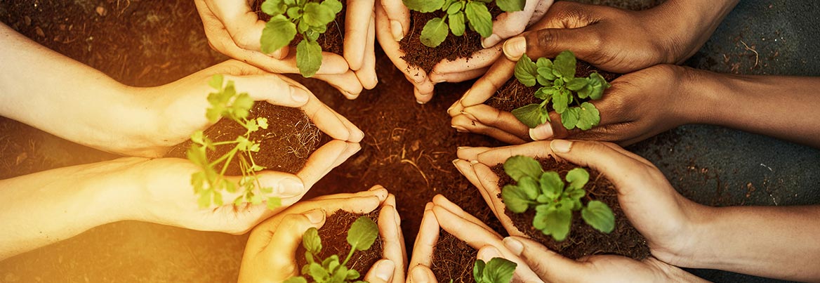 Sustentabilidade